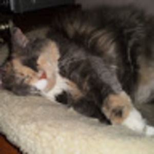 Meet your Posher, Ruth